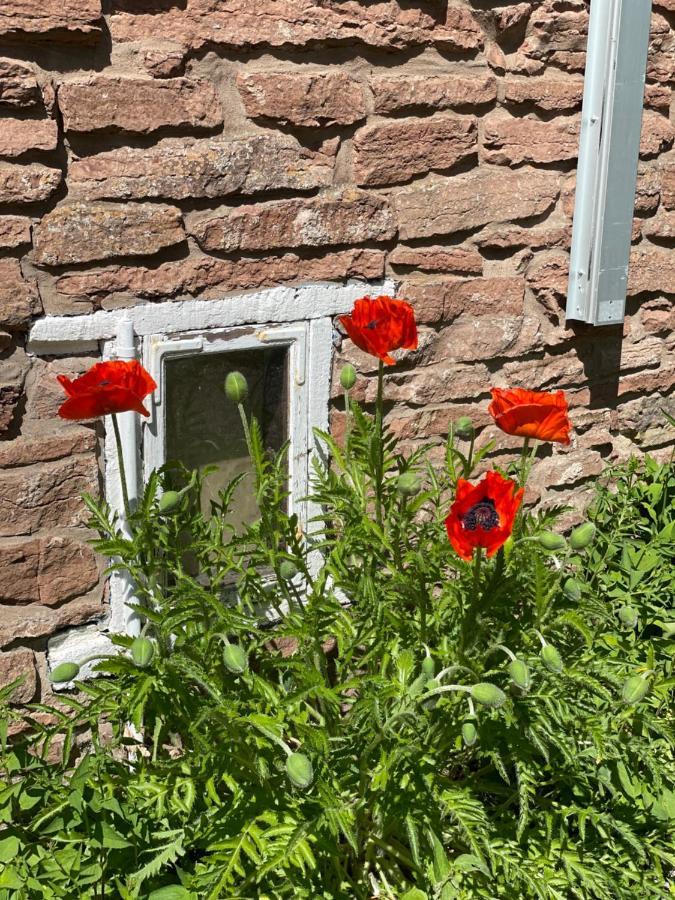 Rosenfors Herrgard B&B 보리홀름 외부 사진